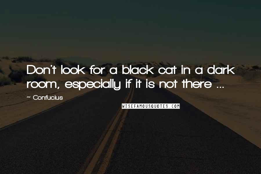 Confucius Quotes: Don't look for a black cat in a dark room, especially if it is not there ...