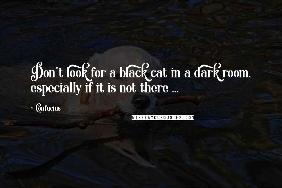 Confucius Quotes: Don't look for a black cat in a dark room, especially if it is not there ...