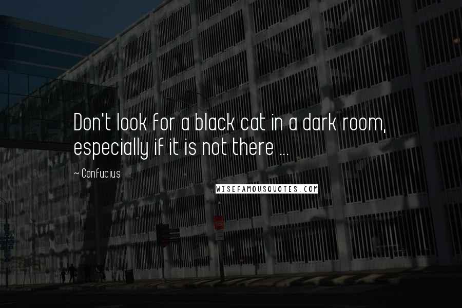 Confucius Quotes: Don't look for a black cat in a dark room, especially if it is not there ...