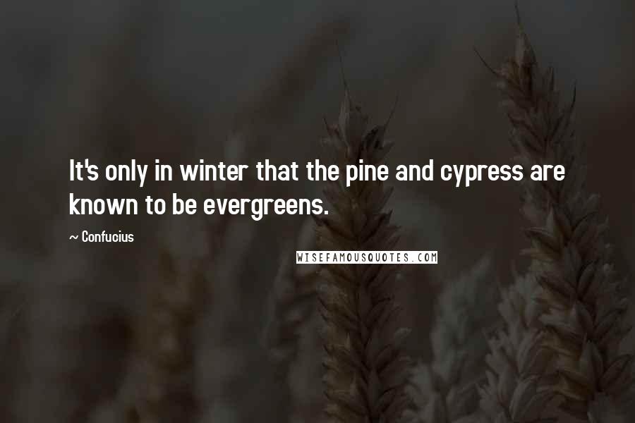 Confucius Quotes: It's only in winter that the pine and cypress are known to be evergreens.