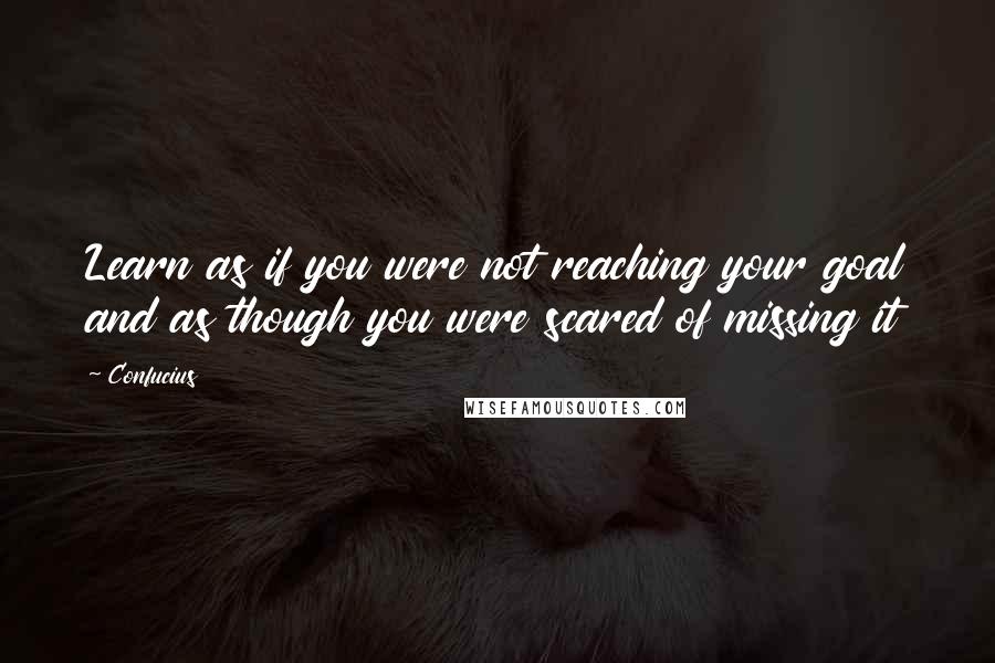 Confucius Quotes: Learn as if you were not reaching your goal and as though you were scared of missing it