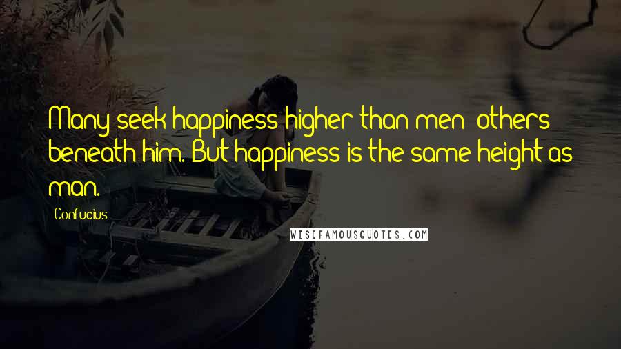Confucius Quotes: Many seek happiness higher than men; others beneath him. But happiness is the same height as man.