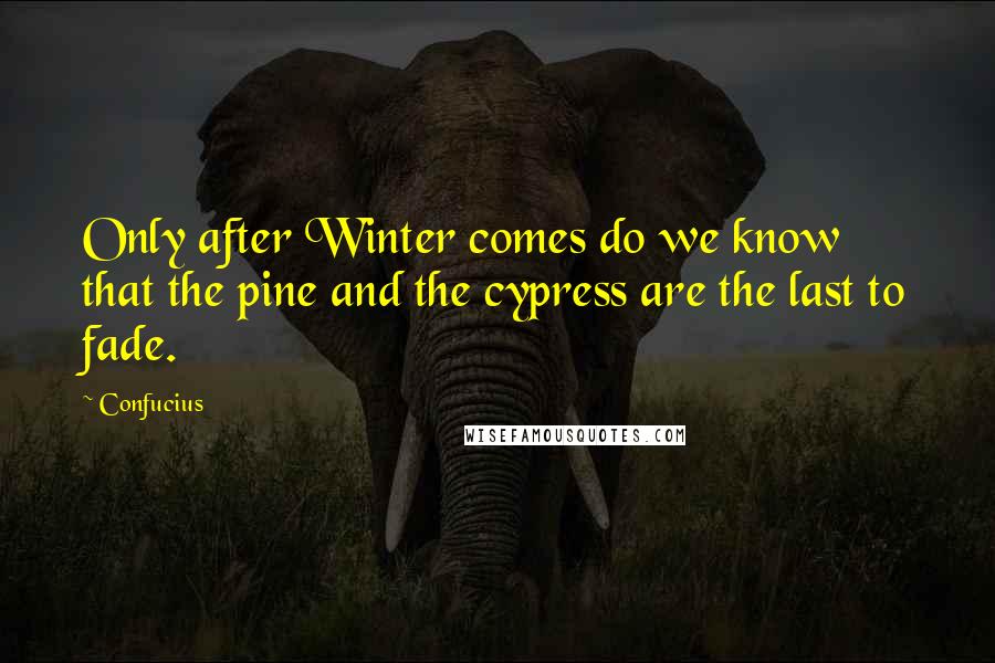 Confucius Quotes: Only after Winter comes do we know that the pine and the cypress are the last to fade.