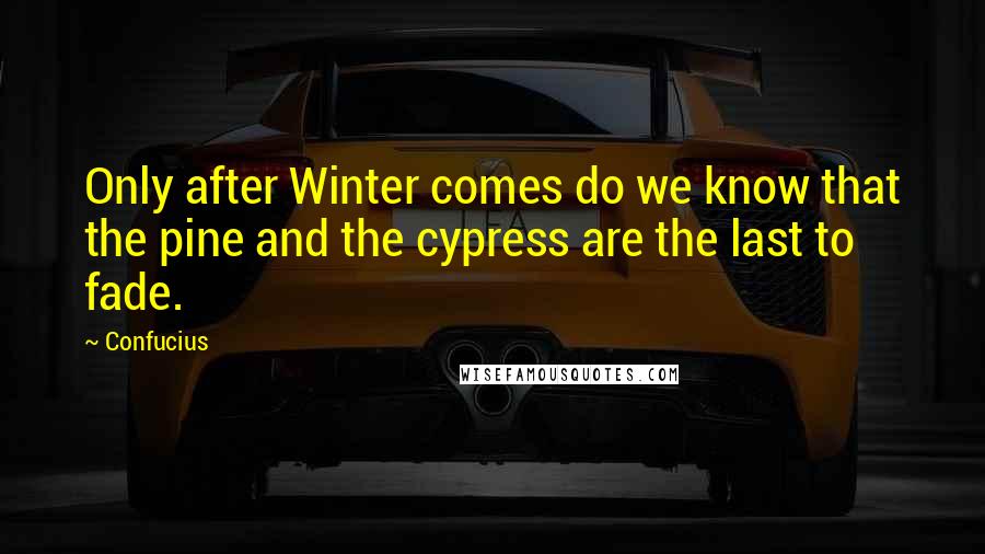 Confucius Quotes: Only after Winter comes do we know that the pine and the cypress are the last to fade.