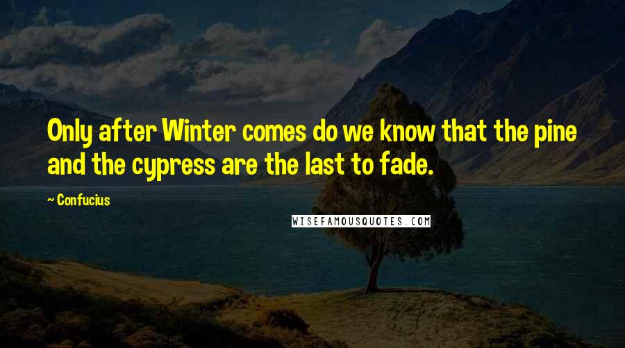 Confucius Quotes: Only after Winter comes do we know that the pine and the cypress are the last to fade.