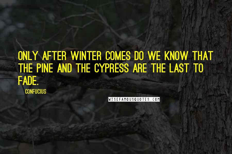 Confucius Quotes: Only after Winter comes do we know that the pine and the cypress are the last to fade.