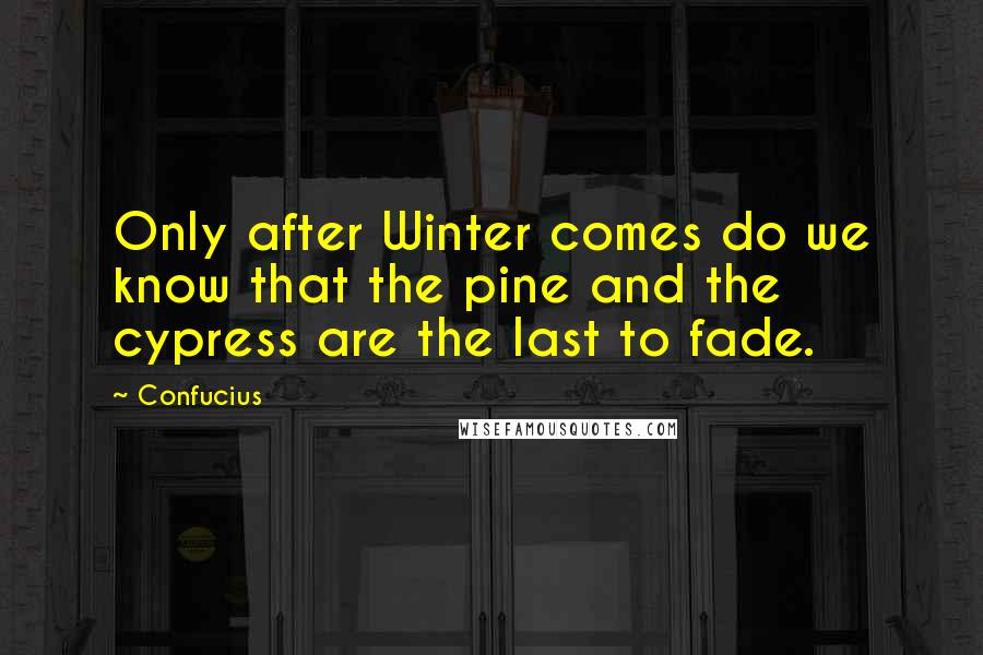 Confucius Quotes: Only after Winter comes do we know that the pine and the cypress are the last to fade.