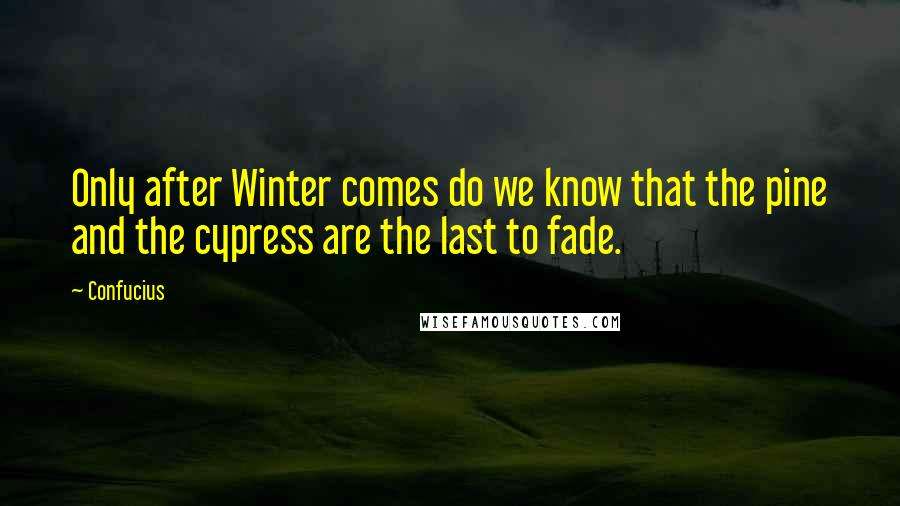 Confucius Quotes: Only after Winter comes do we know that the pine and the cypress are the last to fade.