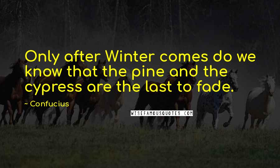 Confucius Quotes: Only after Winter comes do we know that the pine and the cypress are the last to fade.