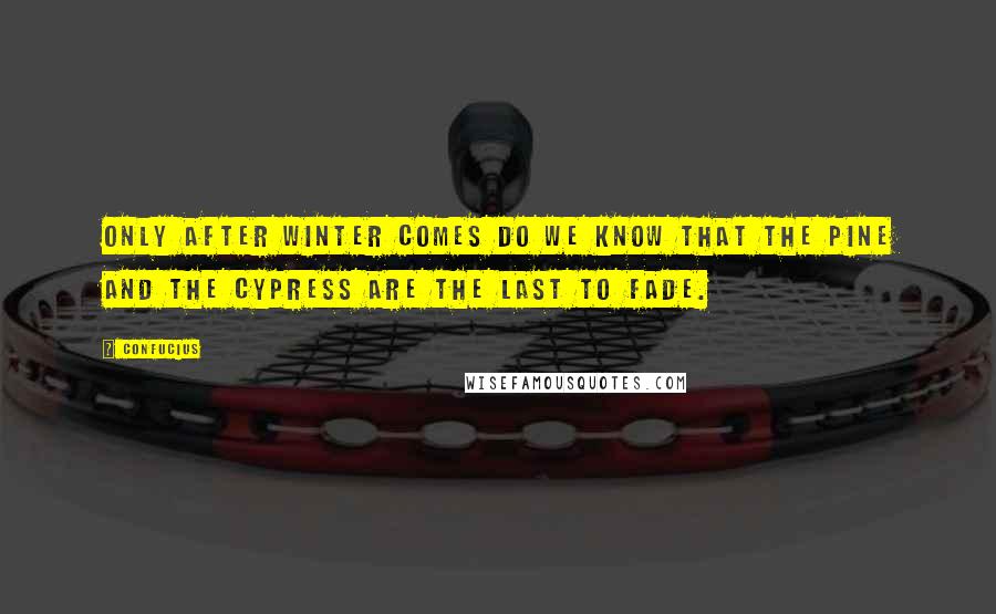 Confucius Quotes: Only after Winter comes do we know that the pine and the cypress are the last to fade.