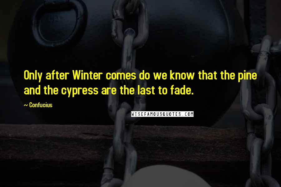 Confucius Quotes: Only after Winter comes do we know that the pine and the cypress are the last to fade.