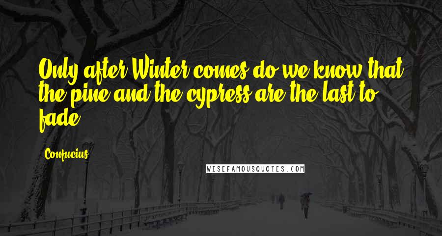 Confucius Quotes: Only after Winter comes do we know that the pine and the cypress are the last to fade.