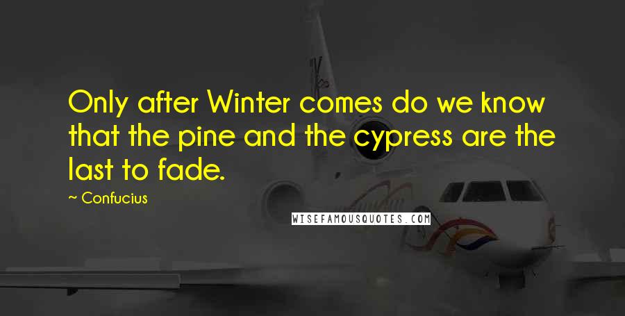 Confucius Quotes: Only after Winter comes do we know that the pine and the cypress are the last to fade.