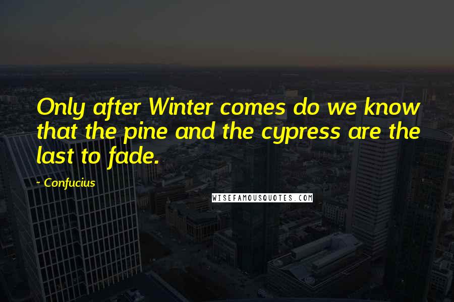 Confucius Quotes: Only after Winter comes do we know that the pine and the cypress are the last to fade.