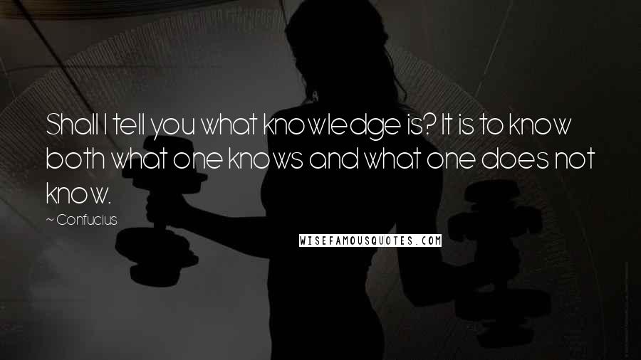 Confucius Quotes: Shall I tell you what knowledge is? It is to know both what one knows and what one does not know.