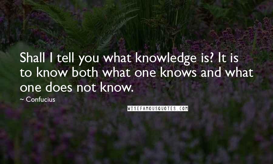 Confucius Quotes: Shall I tell you what knowledge is? It is to know both what one knows and what one does not know.