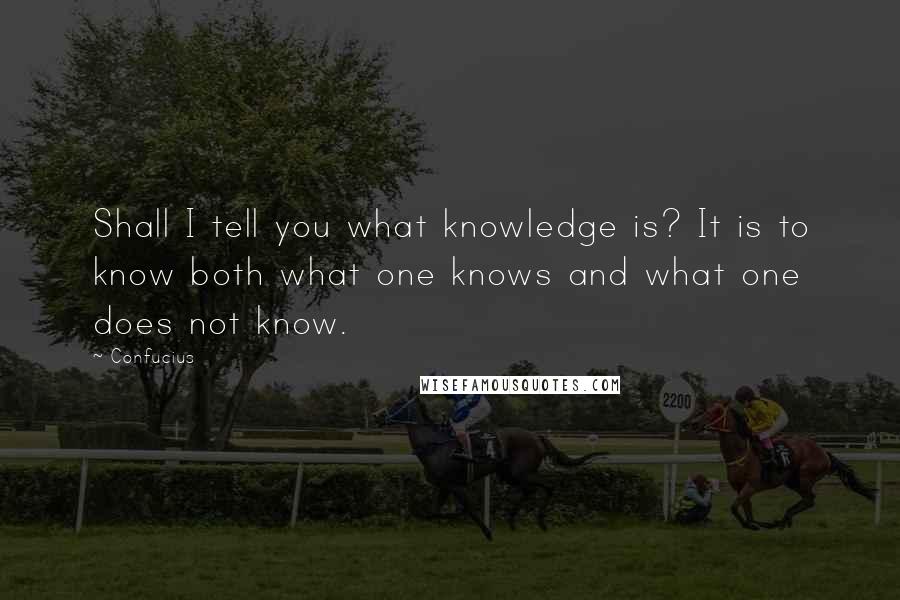 Confucius Quotes: Shall I tell you what knowledge is? It is to know both what one knows and what one does not know.