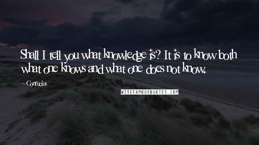 Confucius Quotes: Shall I tell you what knowledge is? It is to know both what one knows and what one does not know.