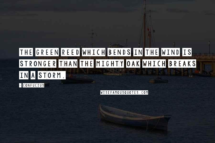 Confucius Quotes: The green reed which bends in the wind is stronger than the mighty oak which breaks in a storm.