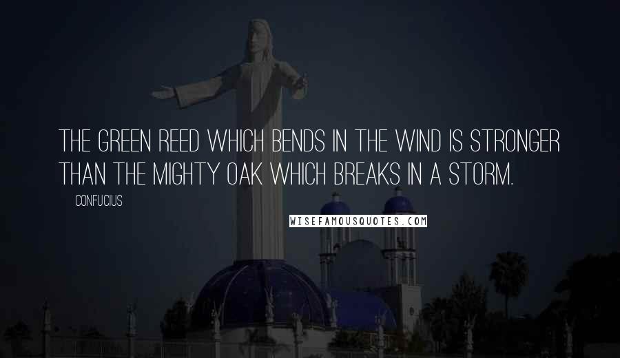 Confucius Quotes: The green reed which bends in the wind is stronger than the mighty oak which breaks in a storm.