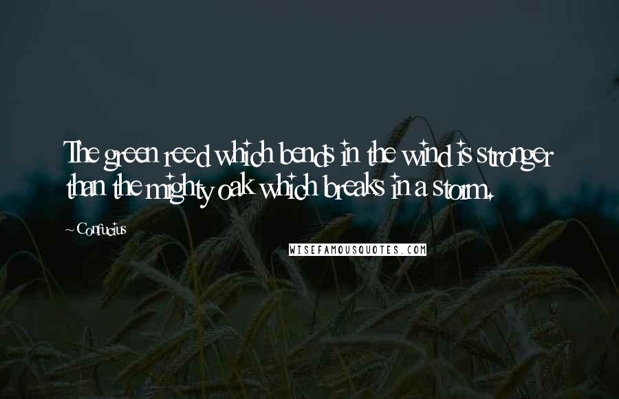 Confucius Quotes: The green reed which bends in the wind is stronger than the mighty oak which breaks in a storm.