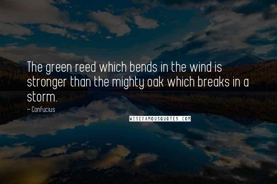 Confucius Quotes: The green reed which bends in the wind is stronger than the mighty oak which breaks in a storm.