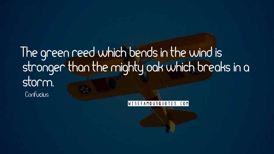 Confucius Quotes: The green reed which bends in the wind is stronger than the mighty oak which breaks in a storm.