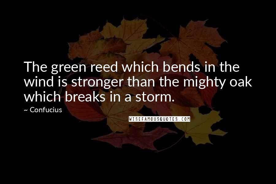 Confucius Quotes: The green reed which bends in the wind is stronger than the mighty oak which breaks in a storm.