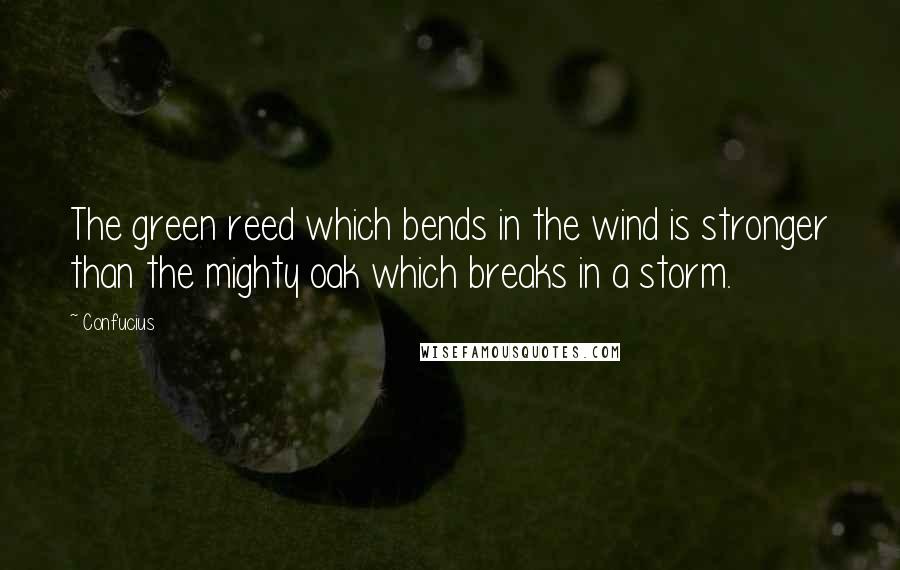 Confucius Quotes: The green reed which bends in the wind is stronger than the mighty oak which breaks in a storm.