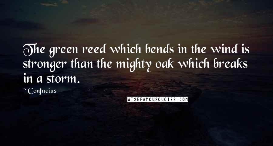 Confucius Quotes: The green reed which bends in the wind is stronger than the mighty oak which breaks in a storm.