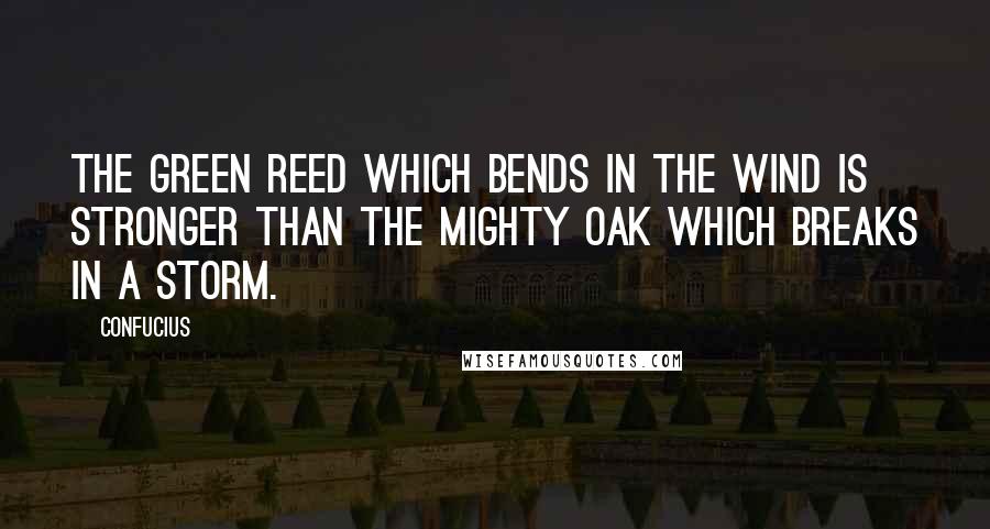 Confucius Quotes: The green reed which bends in the wind is stronger than the mighty oak which breaks in a storm.