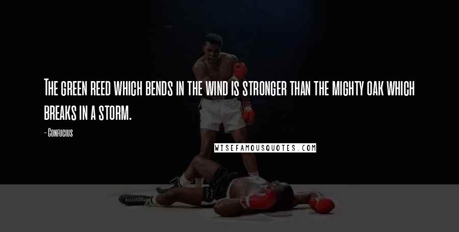 Confucius Quotes: The green reed which bends in the wind is stronger than the mighty oak which breaks in a storm.