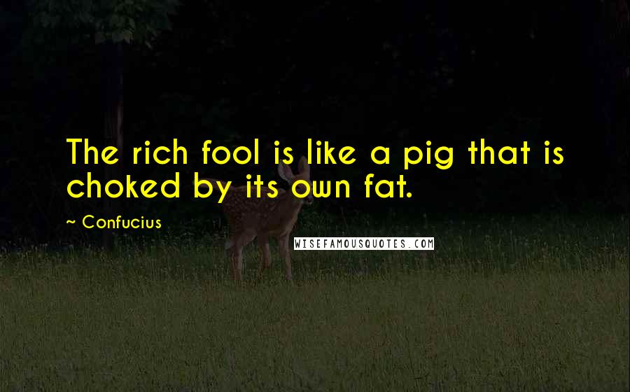 Confucius Quotes: The rich fool is like a pig that is choked by its own fat.