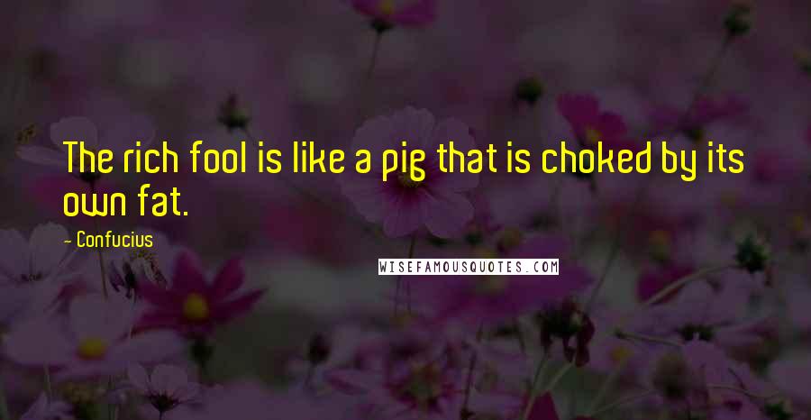 Confucius Quotes: The rich fool is like a pig that is choked by its own fat.