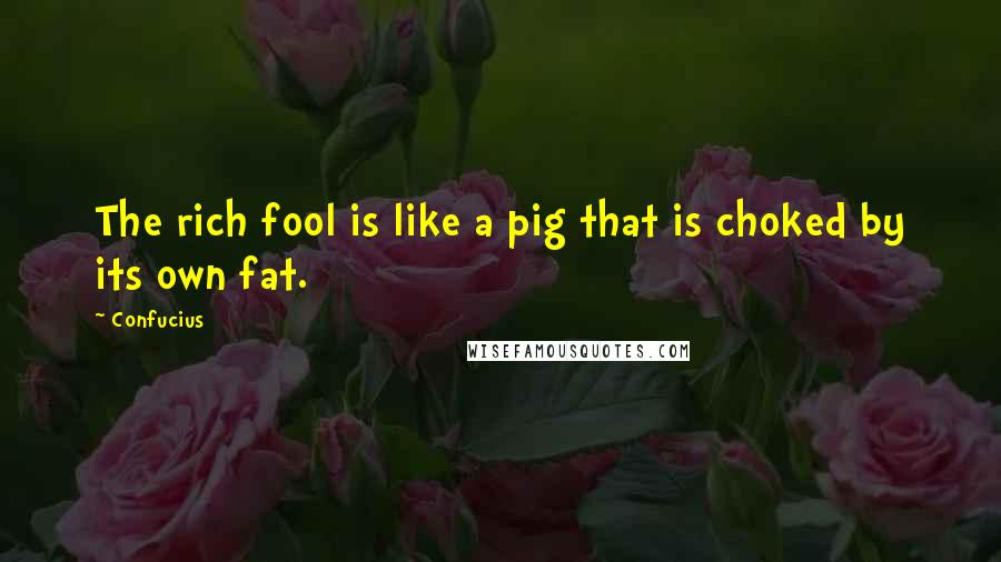 Confucius Quotes: The rich fool is like a pig that is choked by its own fat.