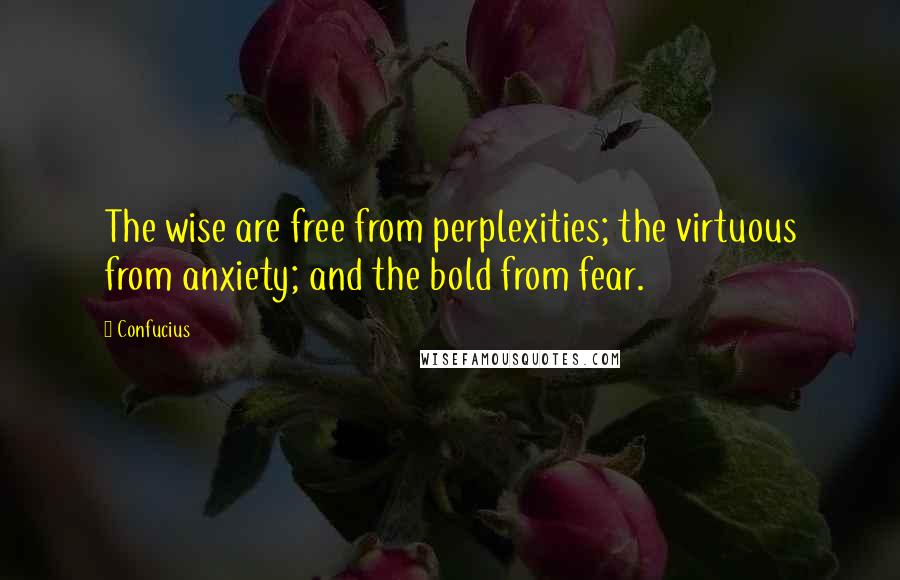 Confucius Quotes: The wise are free from perplexities; the virtuous from anxiety; and the bold from fear.
