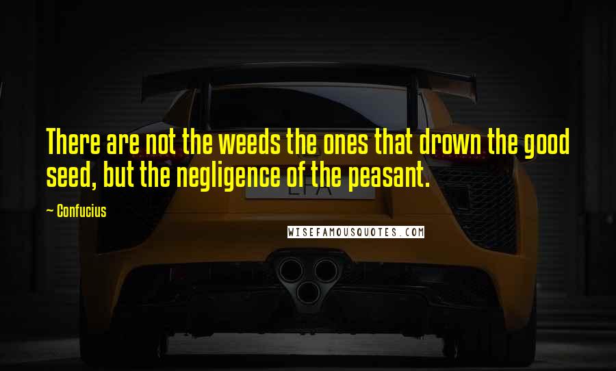 Confucius Quotes: There are not the weeds the ones that drown the good seed, but the negligence of the peasant.