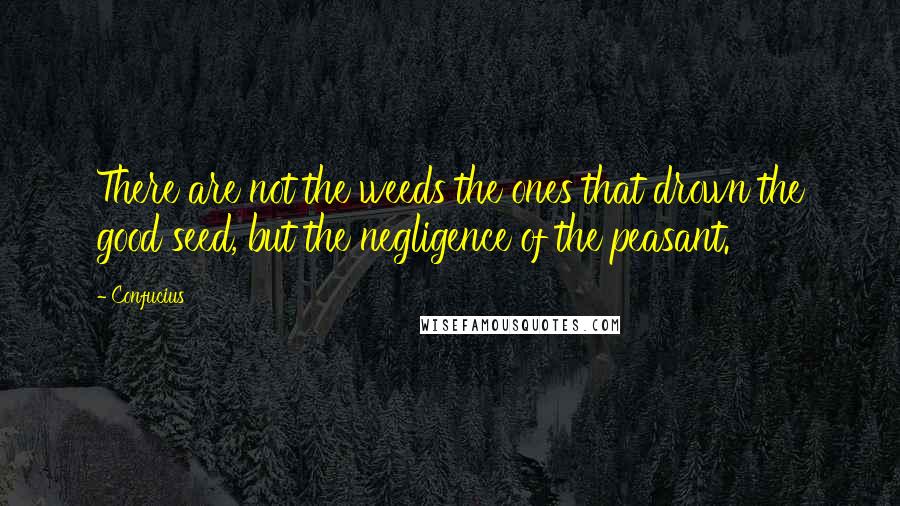 Confucius Quotes: There are not the weeds the ones that drown the good seed, but the negligence of the peasant.