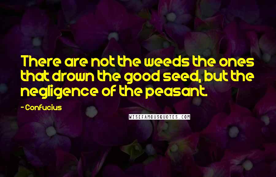 Confucius Quotes: There are not the weeds the ones that drown the good seed, but the negligence of the peasant.