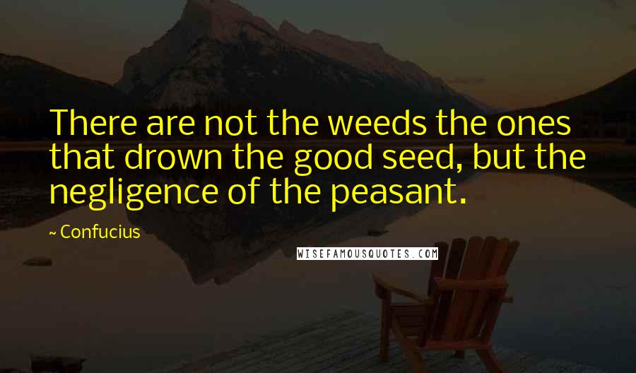 Confucius Quotes: There are not the weeds the ones that drown the good seed, but the negligence of the peasant.