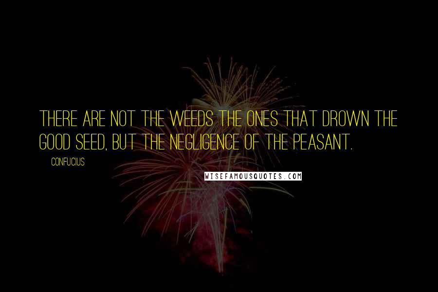 Confucius Quotes: There are not the weeds the ones that drown the good seed, but the negligence of the peasant.