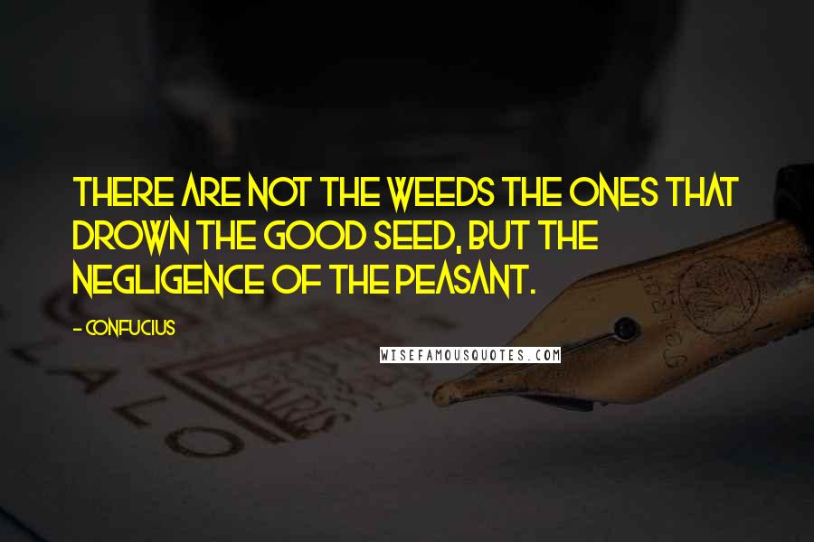 Confucius Quotes: There are not the weeds the ones that drown the good seed, but the negligence of the peasant.