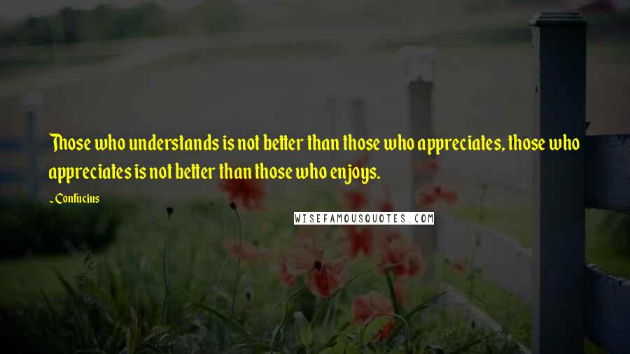 Confucius Quotes: Those who understands is not better than those who appreciates, those who appreciates is not better than those who enjoys.