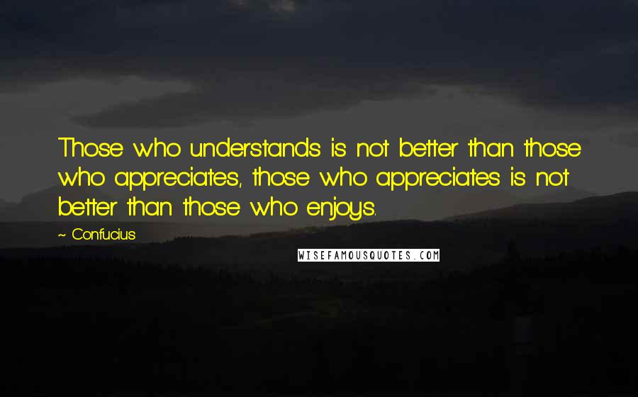 Confucius Quotes: Those who understands is not better than those who appreciates, those who appreciates is not better than those who enjoys.