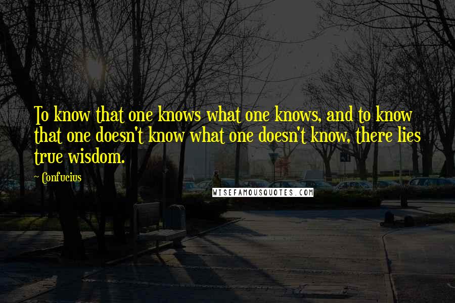 Confucius Quotes: To know that one knows what one knows, and to know that one doesn't know what one doesn't know, there lies true wisdom.