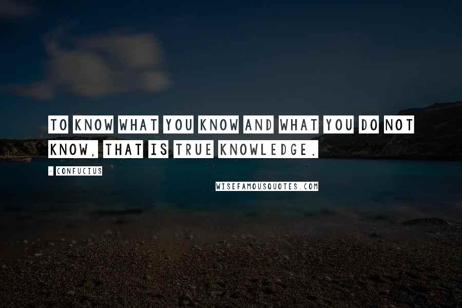 Confucius Quotes: To know what you know and what you do not know, that is true knowledge.