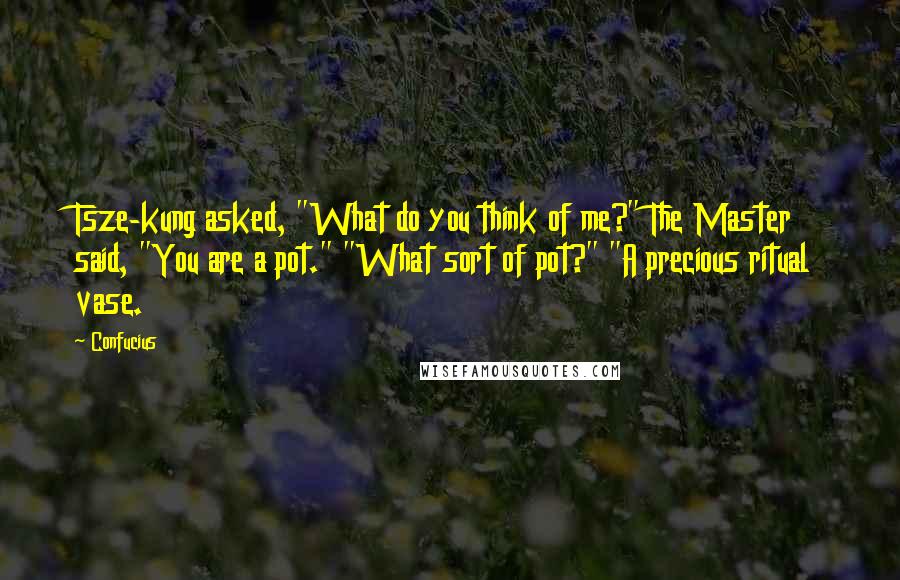 Confucius Quotes: Tsze-kung asked, "What do you think of me?" The Master said, "You are a pot." "What sort of pot?" "A precious ritual vase.