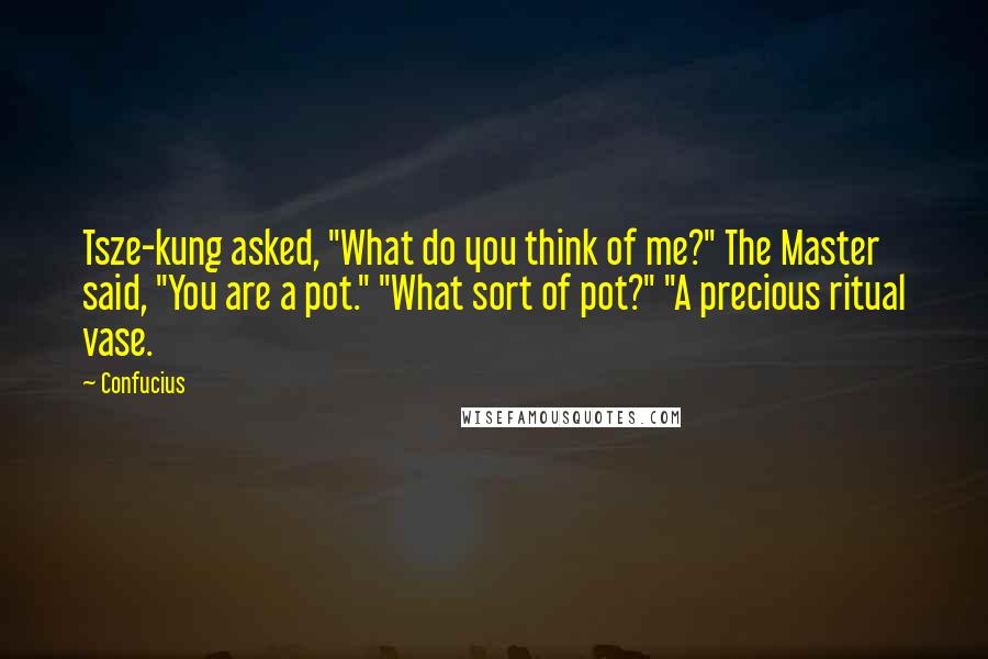 Confucius Quotes: Tsze-kung asked, "What do you think of me?" The Master said, "You are a pot." "What sort of pot?" "A precious ritual vase.