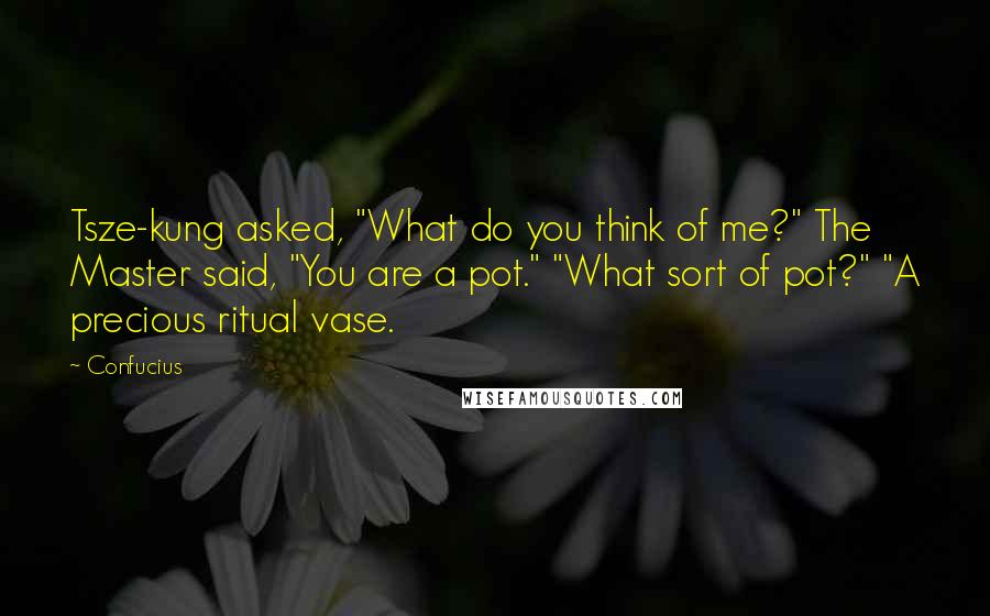 Confucius Quotes: Tsze-kung asked, "What do you think of me?" The Master said, "You are a pot." "What sort of pot?" "A precious ritual vase.