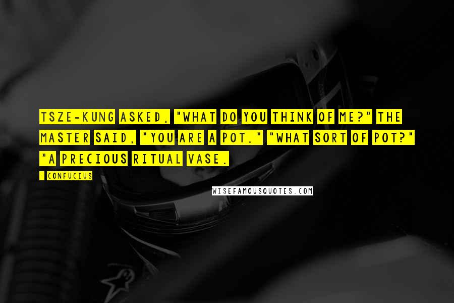 Confucius Quotes: Tsze-kung asked, "What do you think of me?" The Master said, "You are a pot." "What sort of pot?" "A precious ritual vase.